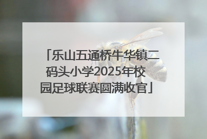 乐山五通桥牛华镇二码头小学2025年校园足球联赛圆满收官
