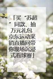 买“苏超”同款、抽万元礼包 京东运动采销直播间带你现场沉浸式看球赛