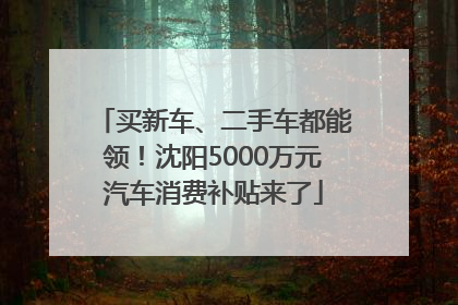 买新车、二手车都能领！沈阳5000万元汽车消费补贴来了