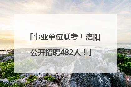 事业单位联考！洛阳公开招聘482人！