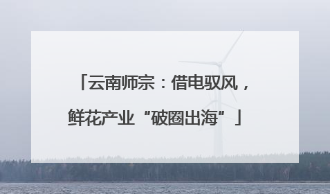 云南师宗：借电驭风，鲜花产业“破圈出海”