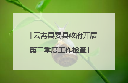 云霄县委县政府开展第二季度工作检查