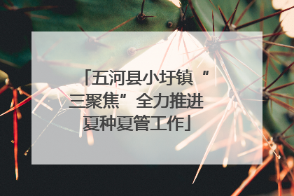 五河县小圩镇“三聚焦”全力推进夏种夏管工作