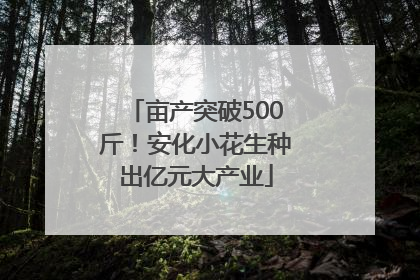 亩产突破500斤！安化小花生种出亿元大产业