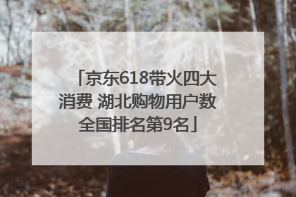 京东618带火四大消费 湖北购物用户数全国排名第9名