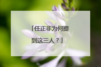 任正非为何提到这三人？