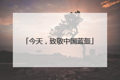 今天，致敬中国蓝盔