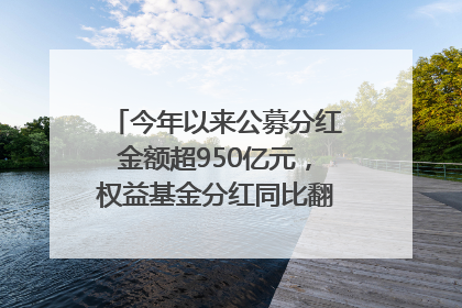 今年以来公募分红金额超950亿元，权益基金分红同比翻倍｜招财猫