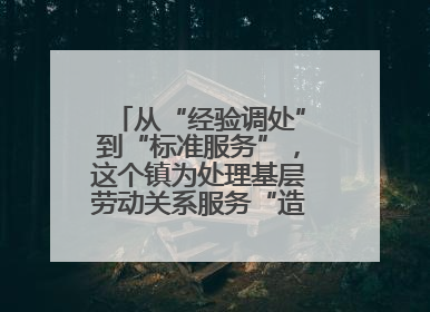 从“经验调处”到“标准服务”，这个镇为处理基层劳动关系服务“造标尺”