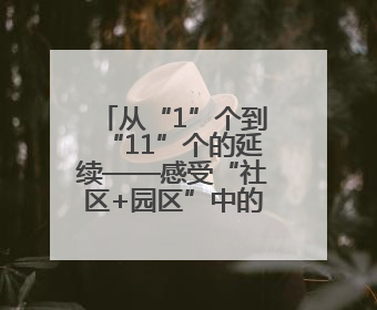 从“1”个到“11”个的延续——感受“社区+园区”中的民族团结情