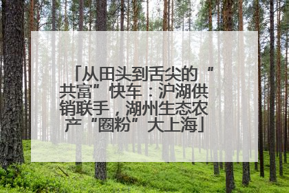 从田头到舌尖的“共富”快车：沪湖供销联手，湖州生态农产“圈粉”大上海