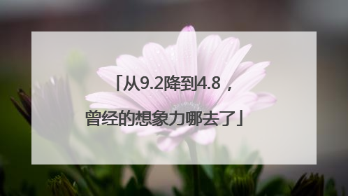 从9.2降到4.8，曾经的想象力哪去了