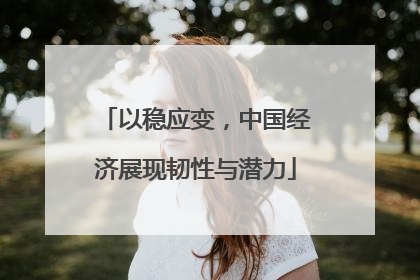 以稳应变，中国经济展现韧性与潜力