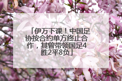 伊万下课！中国足协按合约单方终止合作，其曾带领国足4胜2平8负