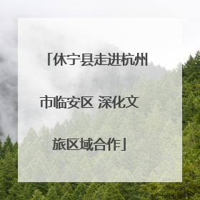 休宁县走进杭州市临安区 深化文旅区域合作