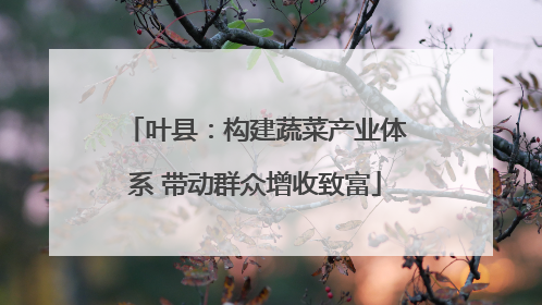 叶县：构建蔬菜产业体系 带动群众增收致富