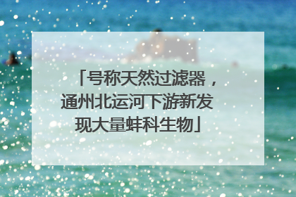 号称天然过滤器，通州北运河下游新发现大量蚌科生物