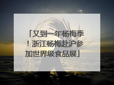又到一年杨梅季！浙江杨梅赴沪参加世界级食品展