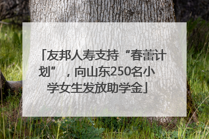 友邦人寿支持“春蕾计划”，向山东250名小学女生发放助学金