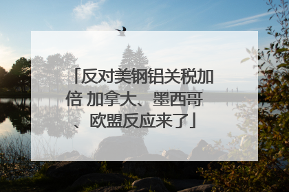 反对美钢铝关税加倍 加拿大、墨西哥、欧盟反应来了