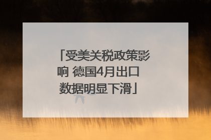 受美关税政策影响 德国4月出口数据明显下滑