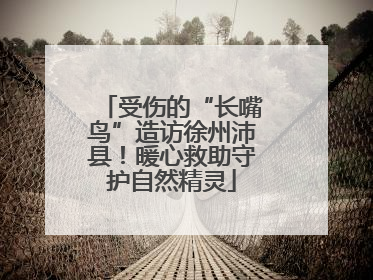 受伤的“长嘴鸟”造访徐州沛县！暖心救助守护自然精灵