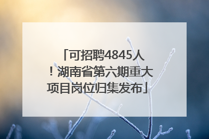 可招聘4845人！湖南省第六期重大项目岗位归集发布