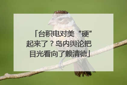 台积电对美“硬”起来了？岛内舆论把目光看向了赖清德