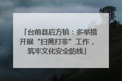 台前县后方镇：多举措开展“扫黄打非”工作，筑牢文化安全防线