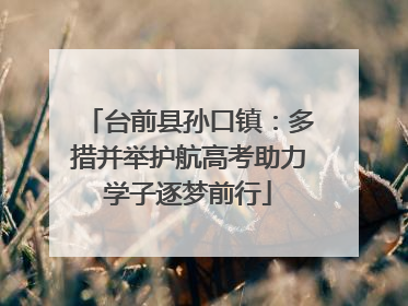 台前县孙口镇：多措并举护航高考助力学子逐梦前行