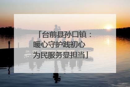台前县孙口镇：暖心守护践初心 为民服务显担当
