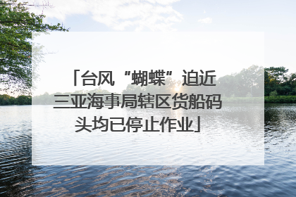 台风“蝴蝶”迫近 三亚海事局辖区货船码头均已停止作业