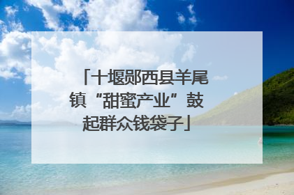 十堰郧西县羊尾镇“甜蜜产业”鼓起群众钱袋子
