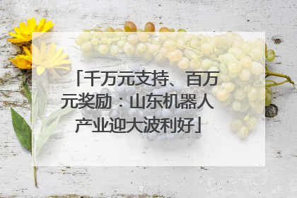 千万元支持、百万元奖励：山东机器人产业迎大波利好