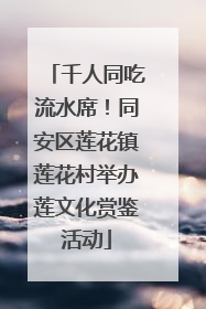 千人同吃流水席！同安区莲花镇莲花村举办莲文化赏鉴活动