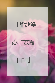 华沙举办“宠物日”