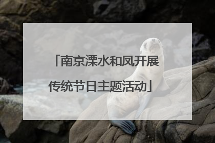 南京溧水和凤开展传统节日主题活动