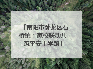 南阳市卧龙区石桥镇：家校联动共筑平安上学路