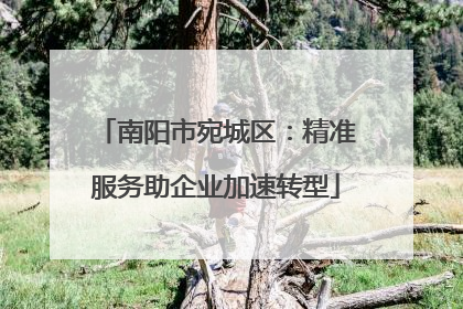 南阳市宛城区：精准服务助企业加速转型