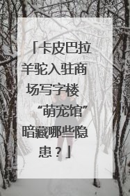 卡皮巴拉羊驼入驻商场写字楼 “萌宠馆”暗藏哪些隐患？