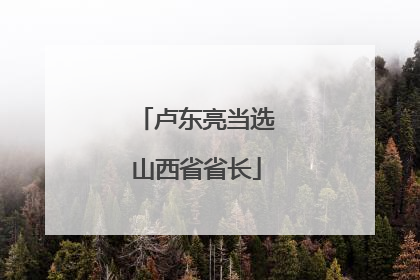 卢东亮当选山西省省长