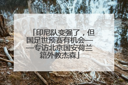 印尼队变强了，但国足世预赛有机会——专访北京国安荷兰籍外教杰森