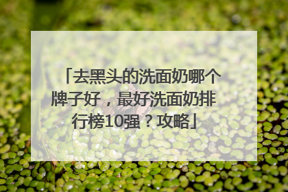 去黑头的洗面奶哪个牌子好，最好洗面奶排行榜10强？攻略