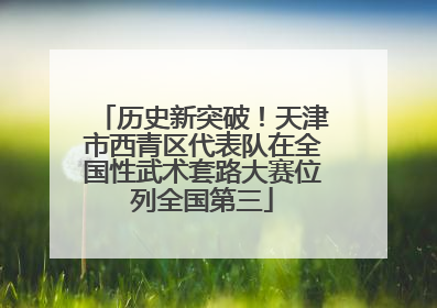 历史新突破！天津市西青区代表队在全国性武术套路大赛位列全国第三