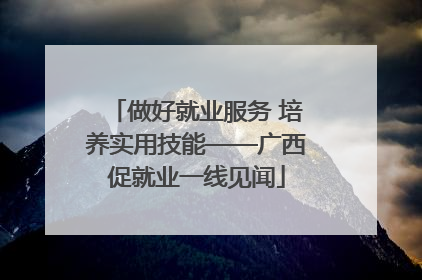 做好就业服务 培养实用技能——广西促就业一线见闻
