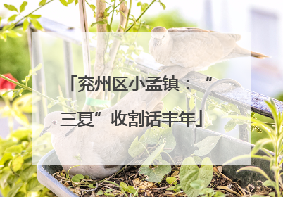 兖州区小孟镇：“三夏”收割话丰年