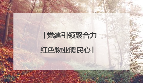 党建引领聚合力 红色物业暖民心