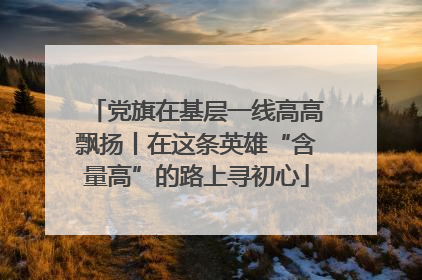党旗在基层一线高高飘扬丨在这条英雄“含量高”的路上寻初心