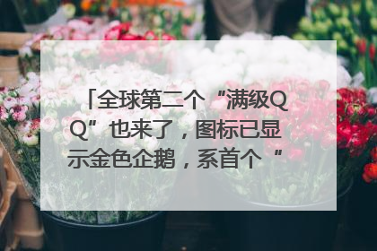 全球第二个“满级QQ”也来了，图标已显示金色企鹅，系首个“满级QQ”的小号