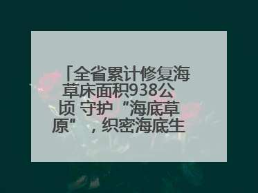 全省累计修复海草床面积938公顷 守护“海底草原”，织密海底生态“一张网”